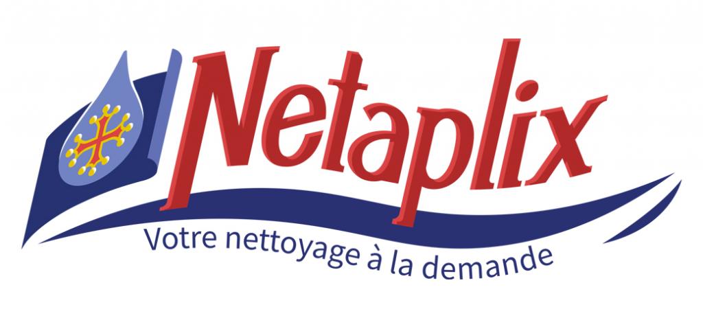 Logo de l'entreprise Netaplix