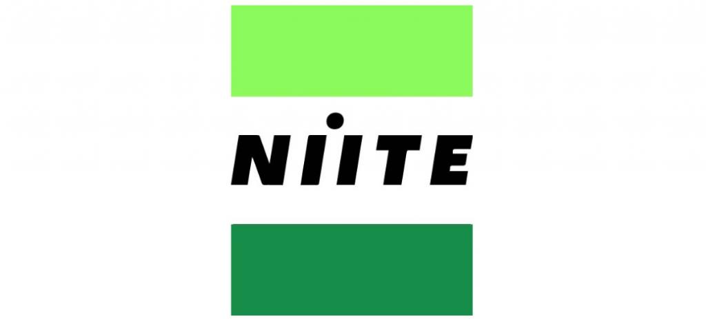 Logo de l'entreprise Niite Global Services