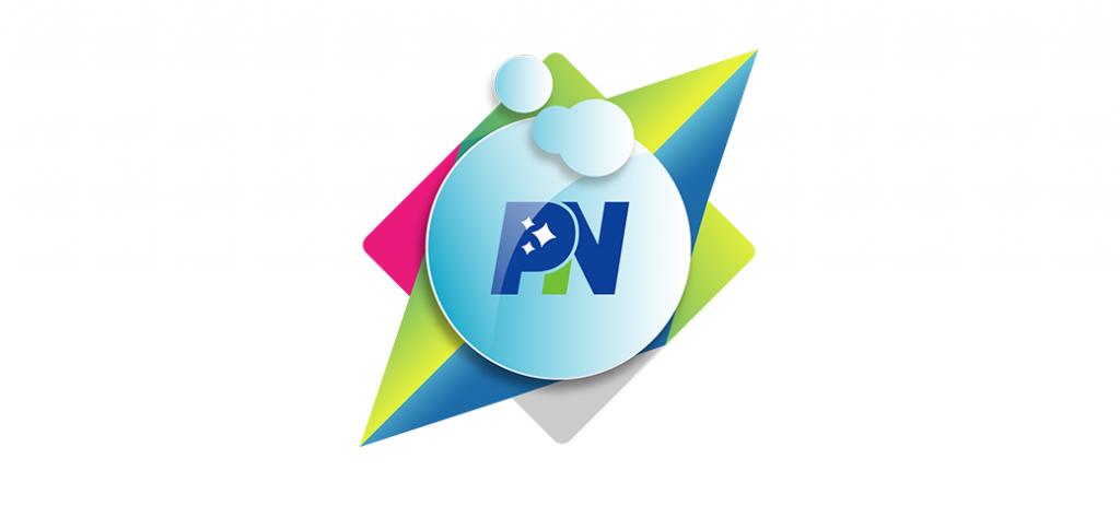 Logo de l'entreprise Plus Et Net